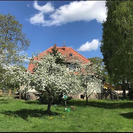 Hof Lillge Apartment Шорфхайде Екстериор снимка